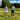 Enjoying golf in summer