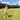 Enjoying golf during the summer