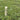 Golf tee