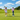 Summer Golf Trip