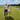 Golfers on a sunny day