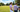 Woman golfer in pink polo on sunny summer golf course beside cart